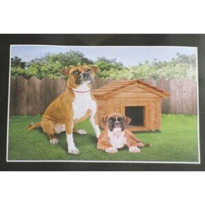 New Boxer Fleece Throw Gift Blanket Breed Boxers Guard Dog Puppy Brindle SOFT